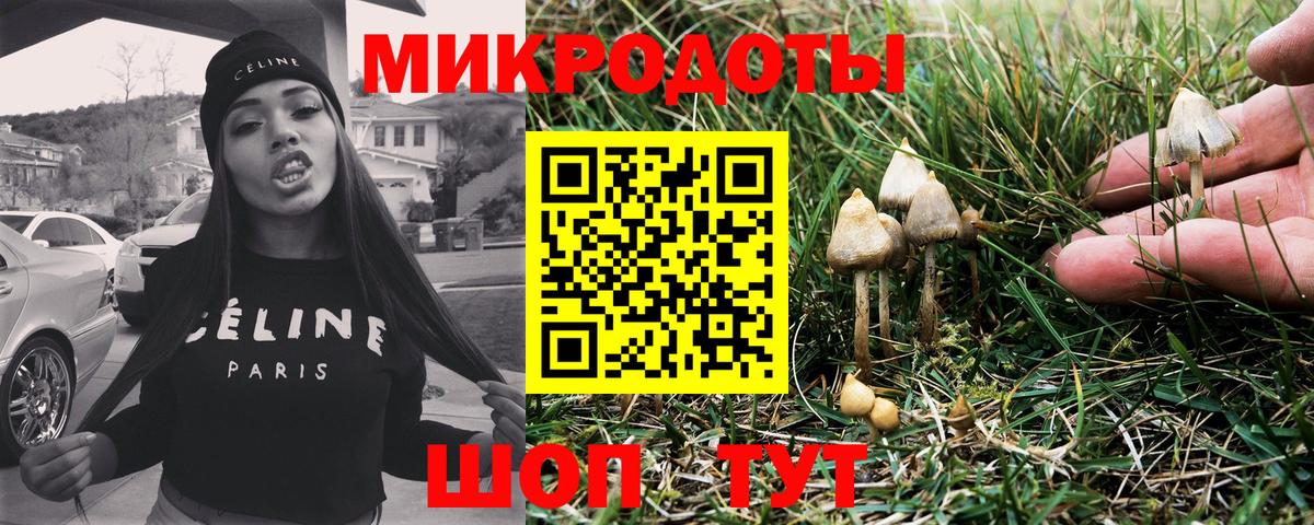 Псилоцибиновые грибы Magic Shrooms  Галлюциногенные грибы Cubensis  Шахты  что такое   Вход с VPN 